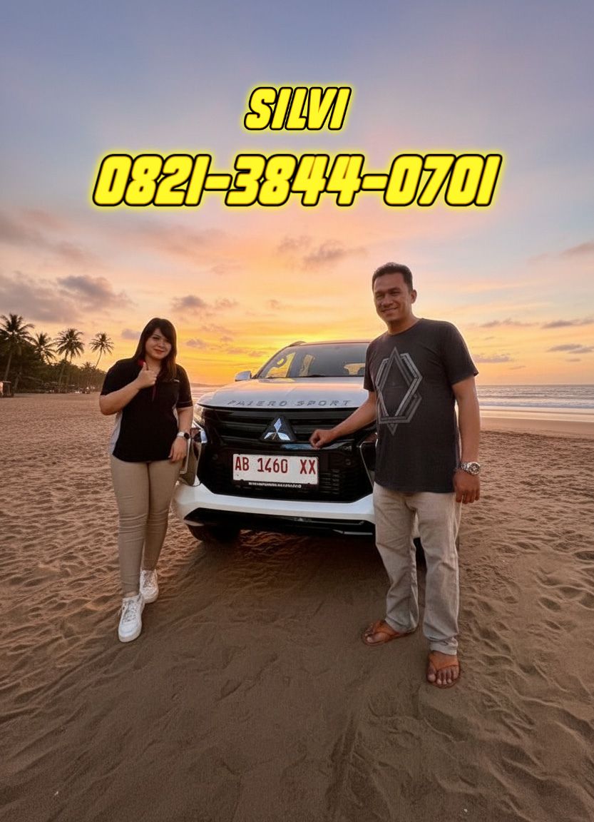 Sales Mobil Mitsubishi Silvi 3